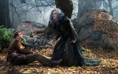 Into The Woods: I Could Not Wish For More