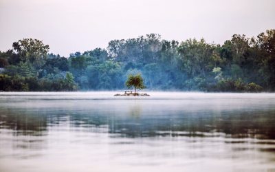 Watch This: The Midnight Island of Childhood Dreams