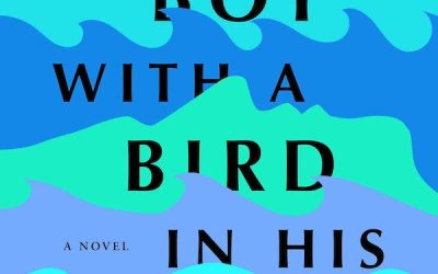 Review: The Boy With a Bird In His Chest