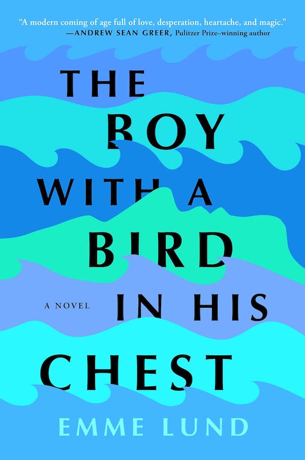 Cover for The Boy with a Bird in His Chest