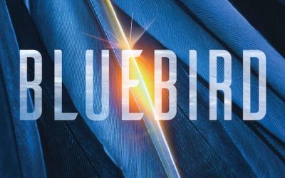 Review: Bluebird