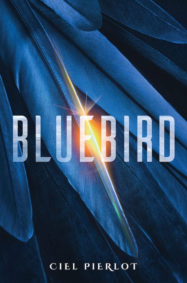 Review: Bluebird